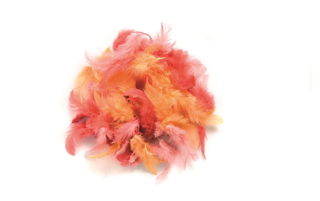 Glorex Plumes Deco Rouge
