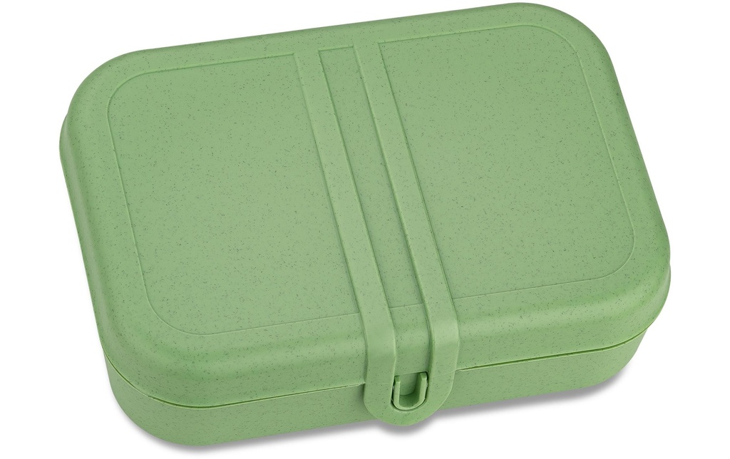 Koziol Boîte casse-croûte Pascal L Vert