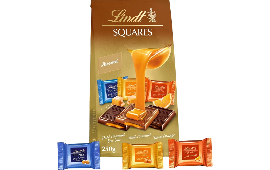 Lindt Pralines au chocolat Squares assorti 250 g