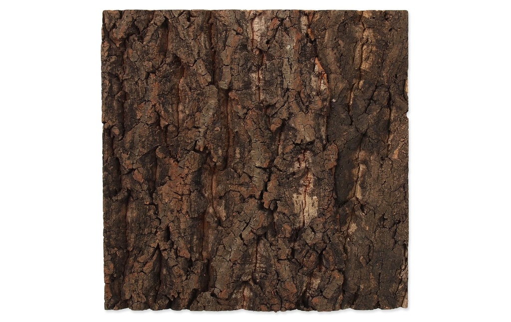Repti Planet Paroi arrière en liège 28.5 x 28 x 2 cm