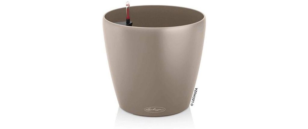 Lechuza CLASSICO Color 35 Marron sable