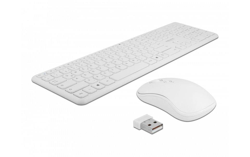 Delock Ensemble clavier-souris 12703 Wireless Blanc