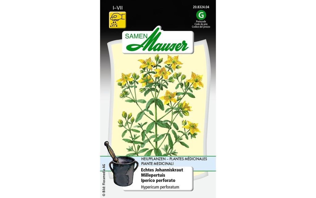 Samen Mauser Plantes médicinales millepertuis