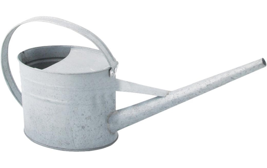 Esschert Design Arrosoir 1.6 l Zinc