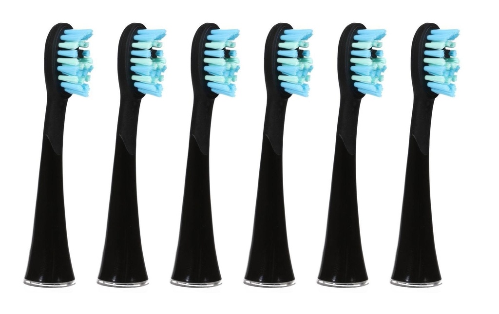 Ailoria Tête de brosse à dents Shine Bright Extra Clean Noir, 6 Pièce/s