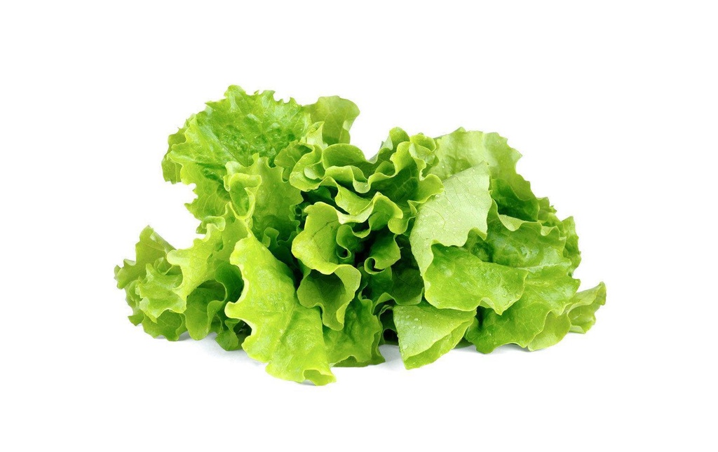 Click and Grow Semence Recharge pour salade verte de 3