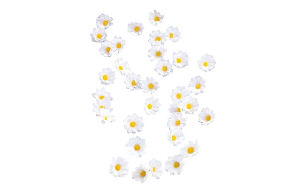 Dekomat AG Fleur artificielle Marguerites 72 pièces