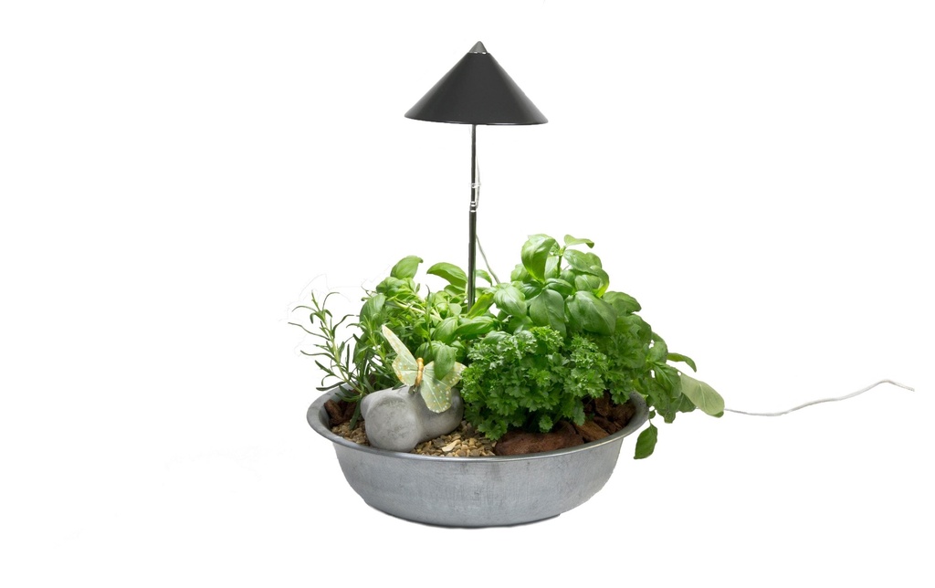Venso Solutions Lumière de plantes SunLite 7 W, Gris