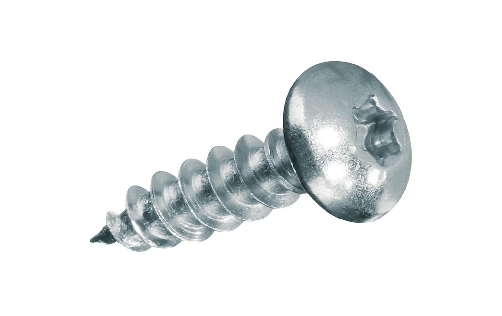 FTM Vis pour contreplaqué Pan Head 4.5 x 25 mm Acier, 12 pièces