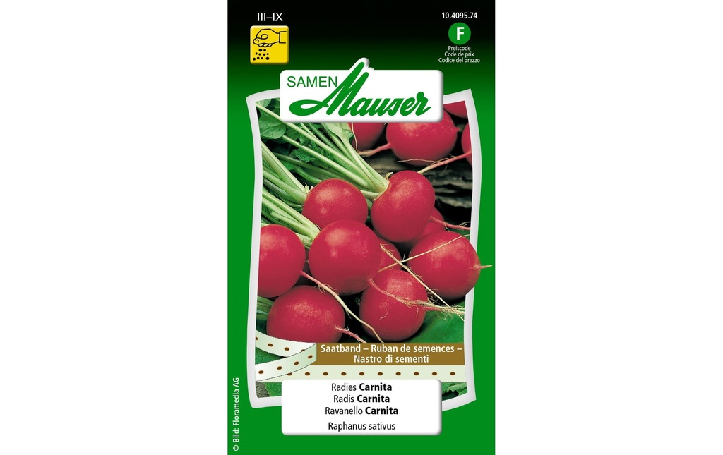 Samen Mauser Ruban de semence Urban Gardening Radis Carnita Carnita