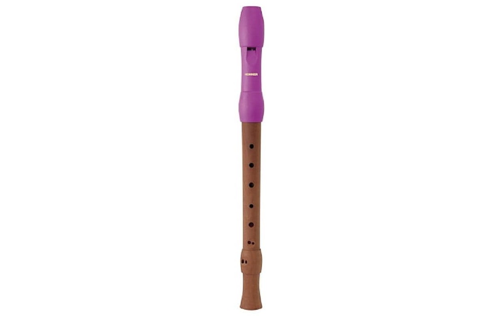 Hohner Flûte à bec Alegra Soprano, Plastique