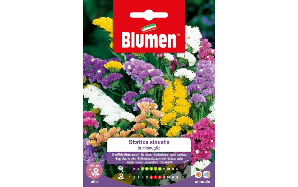 Blumen Semence Lilas de plage Mix