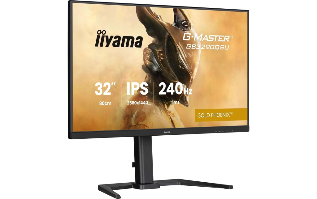 iiyama Moniteur G-Master GB3290QSU-B1 31.5 , 2560 x 1440 (WQHD)