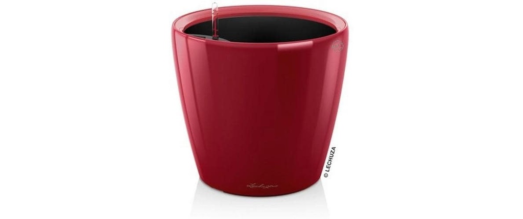 Lechuza CLASSICO Premium LS 43 Rouge brillant