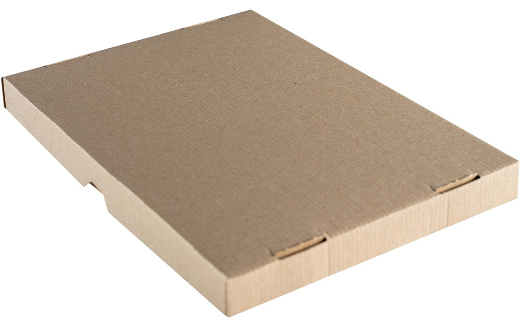 Brieger Carton d’expédition 227 x 155 x 55 mm, 1 Pièce/s
