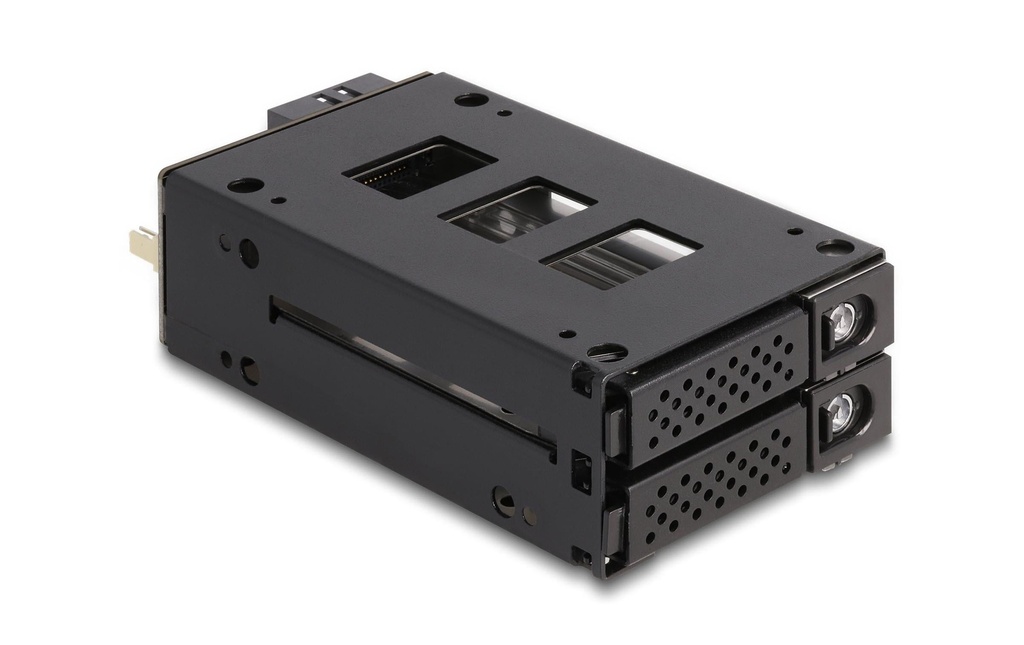 Delock Rack amovible Slim Bay U.2 NVMe 2.5