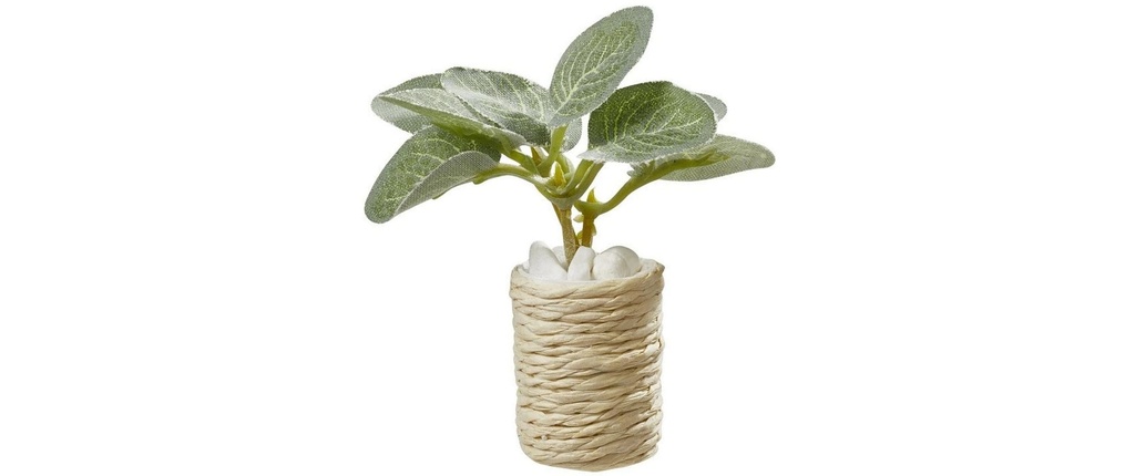 HobbyFun Mini ustensiles Plante d'intérieur