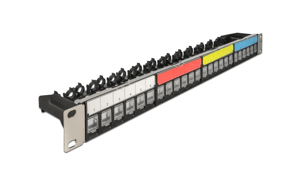 Delock Panneau de brassage Keystone 24 ports 1 U Rack 19