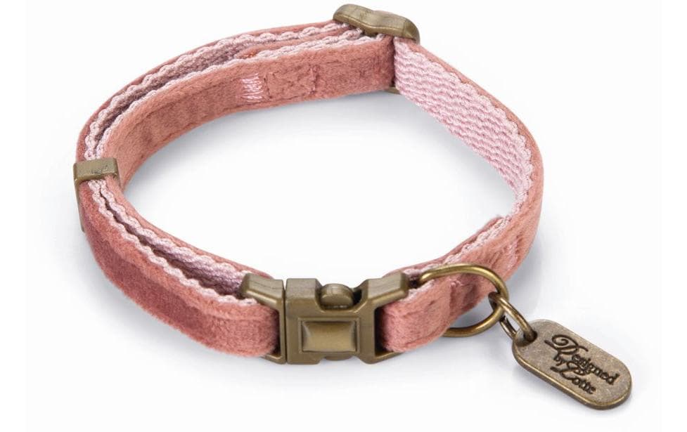 Designed by Lotte Collier pour chat Velura Rose