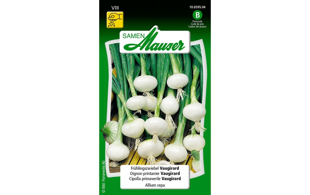 Samen Mauser Semence Oignon de printemps Vaugirard