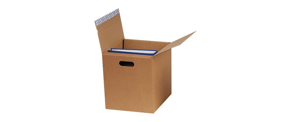 Brieger Carton d’expédition des dossiers 32.5 x 29 x 32.5 cm, 1 pièce