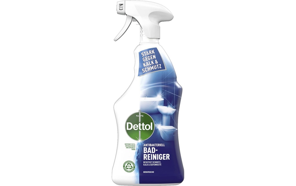 Dettol Nettoyant antibactérien pour salle de bain Bergfrische 750 ml