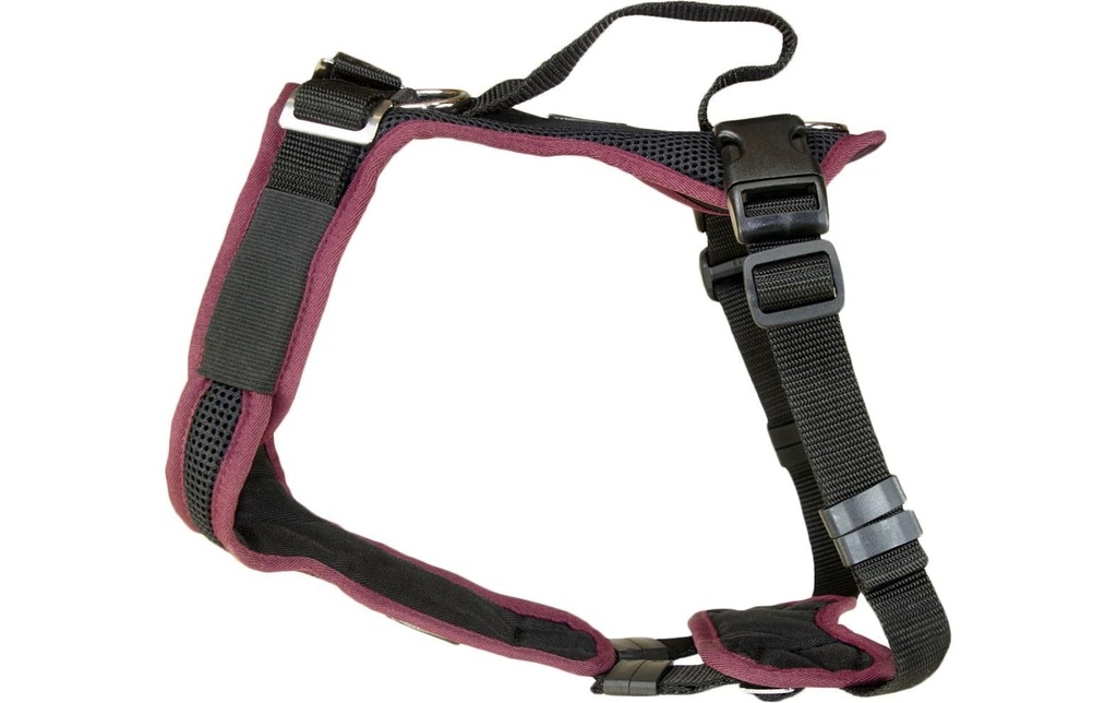 Grossenbacher Harnais Vary, Bordeaux