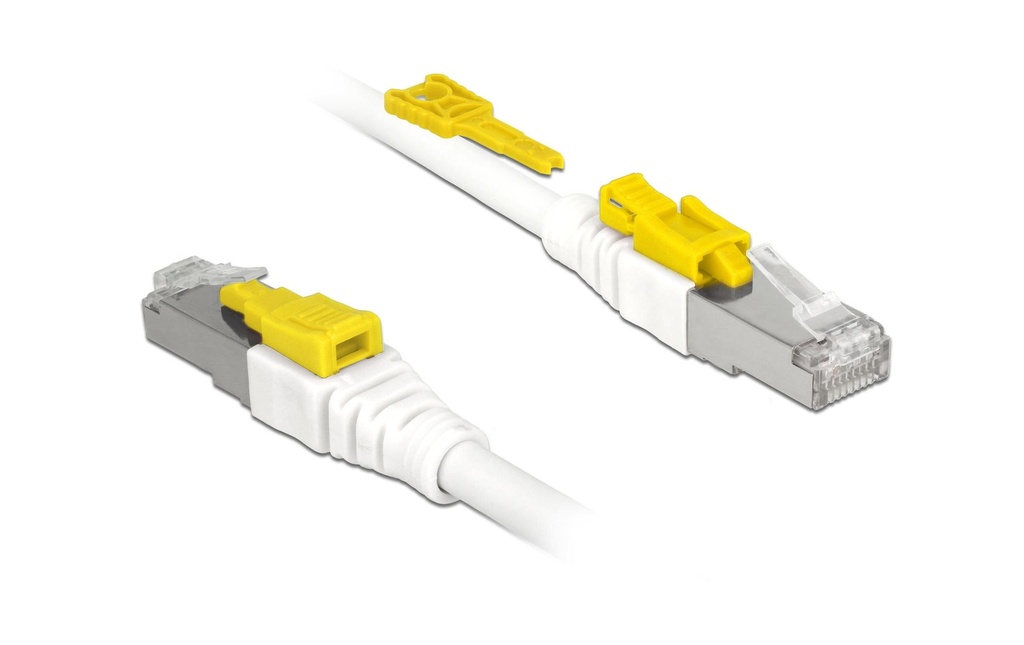 Delock Câble patch  Cat 6A, S/STP, 2 m, Blanc, verrouillable