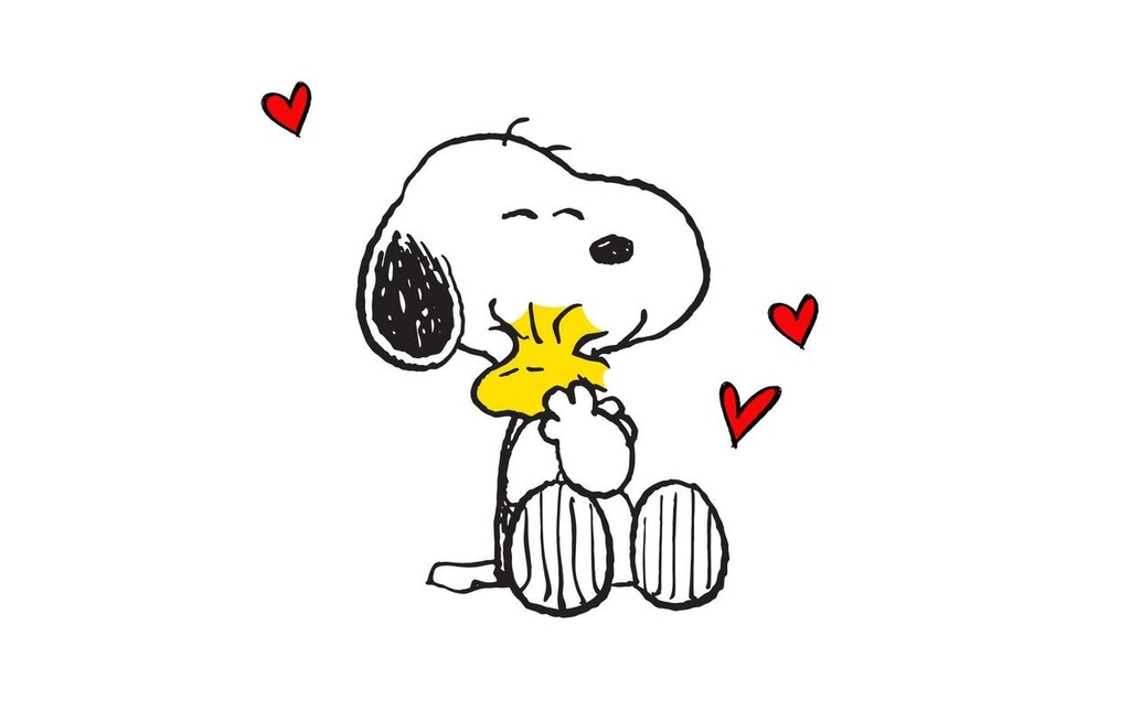Braun + Company Snoopy Grand 20 Pièce/s