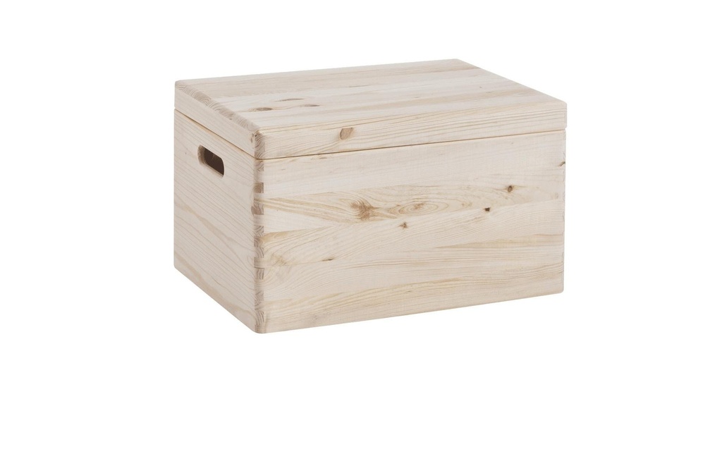 Zeller Present Caisse de rangement avec couvercle 40 x 23 cm, Nature