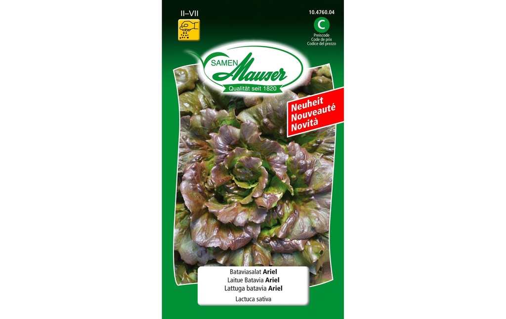 Samen Mauser Semence Salade batavia Ariel