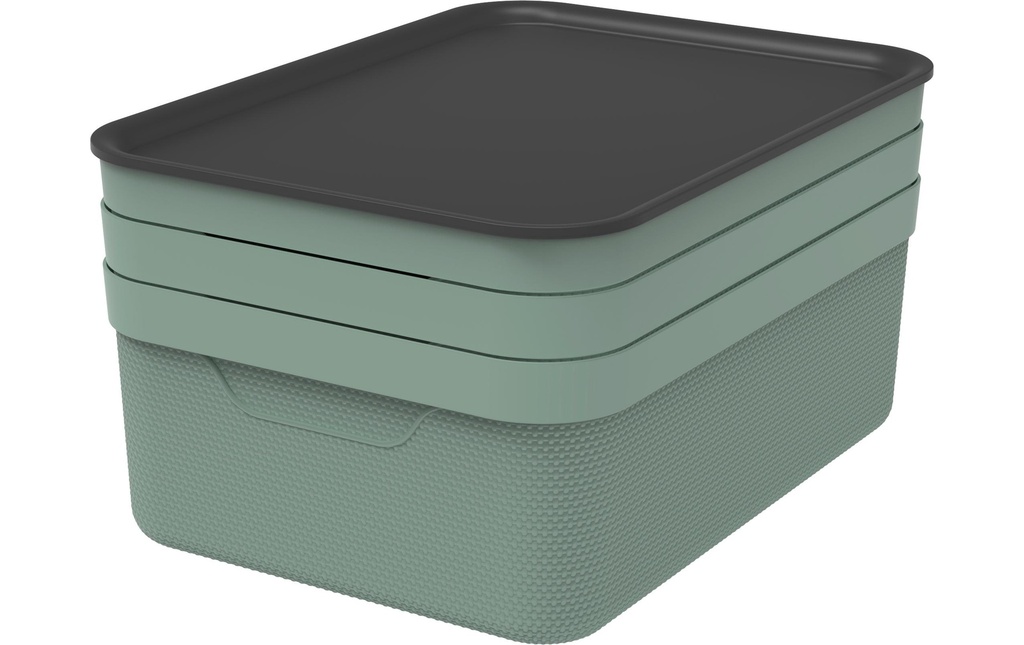 Rotho Boîte de rangement JIVE Vert de gris