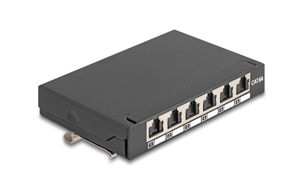 Delock Panneau de brassage 6-port Desktop/Rail DIN/Montage direct au mur