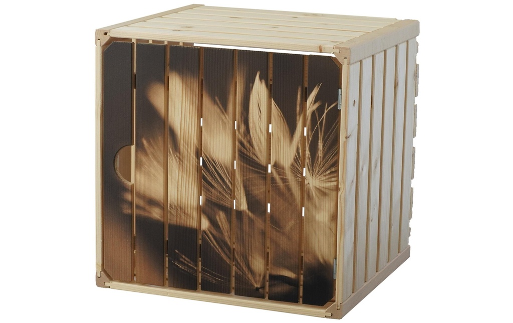 Holz Zollhaus Caisse au bois Pissenlit avec porte, 35 x 35 cm