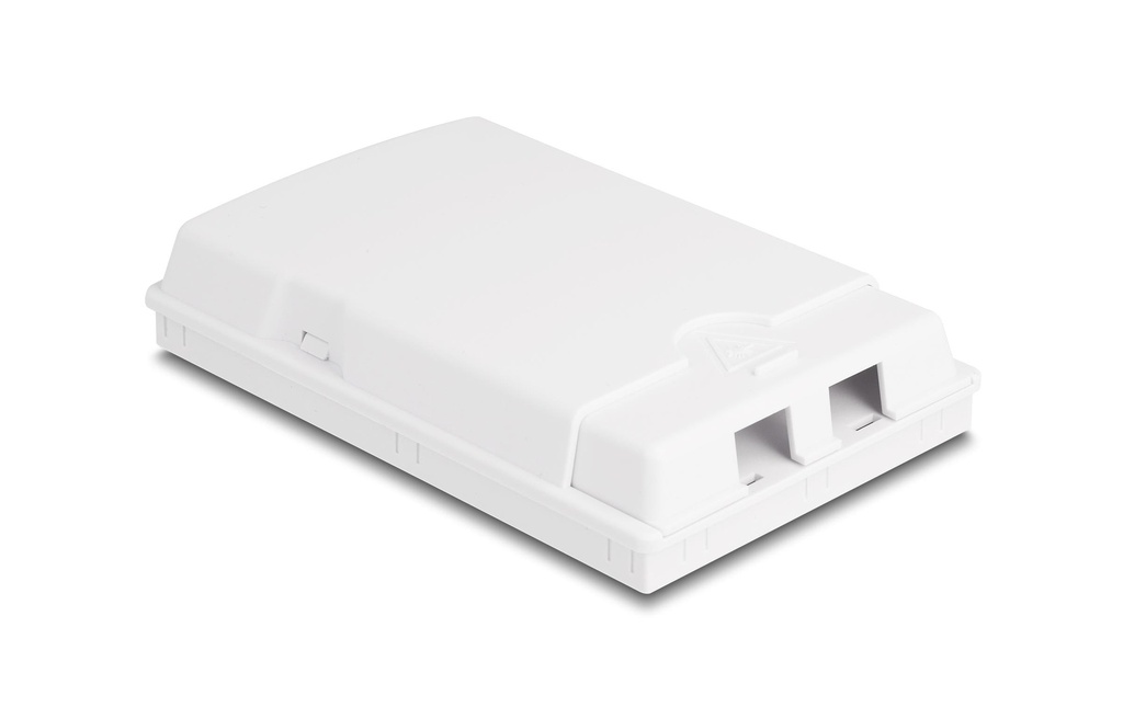 Delock Boitier de connexion de fibre optique pour le montage mural pour 2x SC/LC
