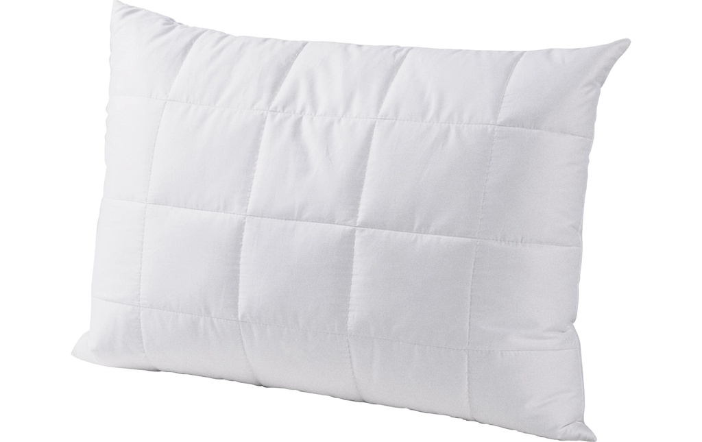 DOR Oreiller classique Linum 65 x 100 cm