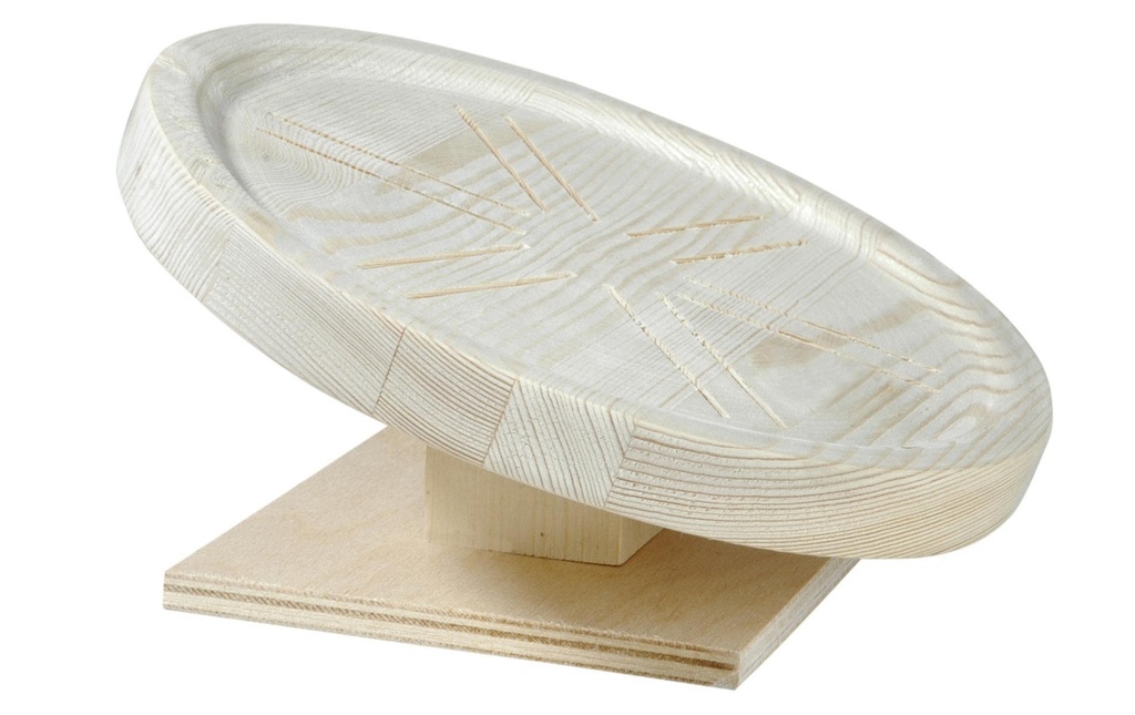 Eric Schweizer Disque d’exercice Ø 20 x 10 cm