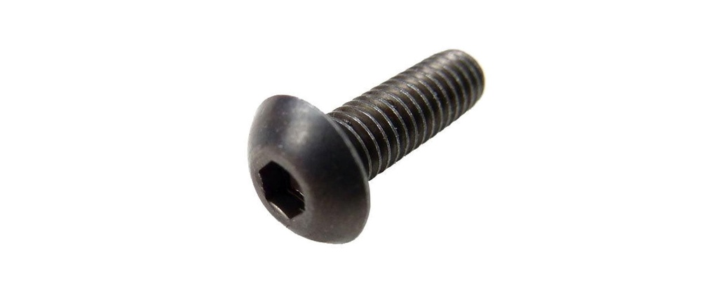 EP Vis à tête bombée M4x16  mm