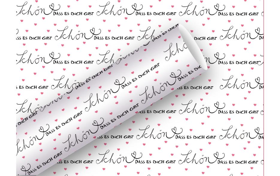 BRAUN + COMPANY Papier cadeau Nice 2mx70cm (2 pces)