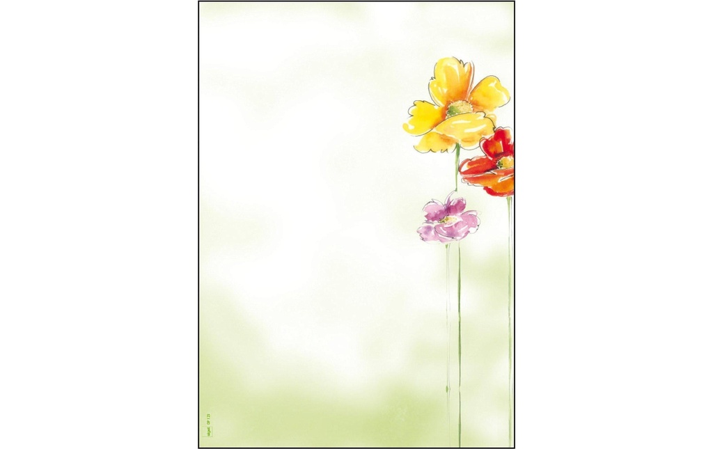 SIGEL Papier design A4 90g SpringFlo (50 pces)