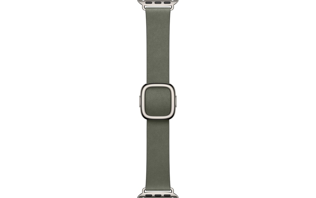 Apple Modern Buckle 42 mm Sage Gray Large