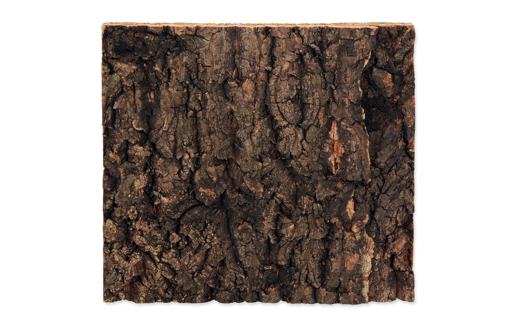 Repti Planet Paroi arrière en liège 19 x 17.3 x 2 cm