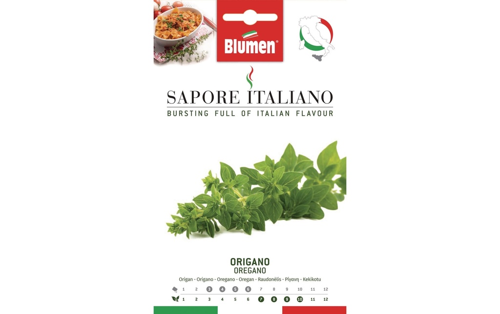 Blumen Semence origano