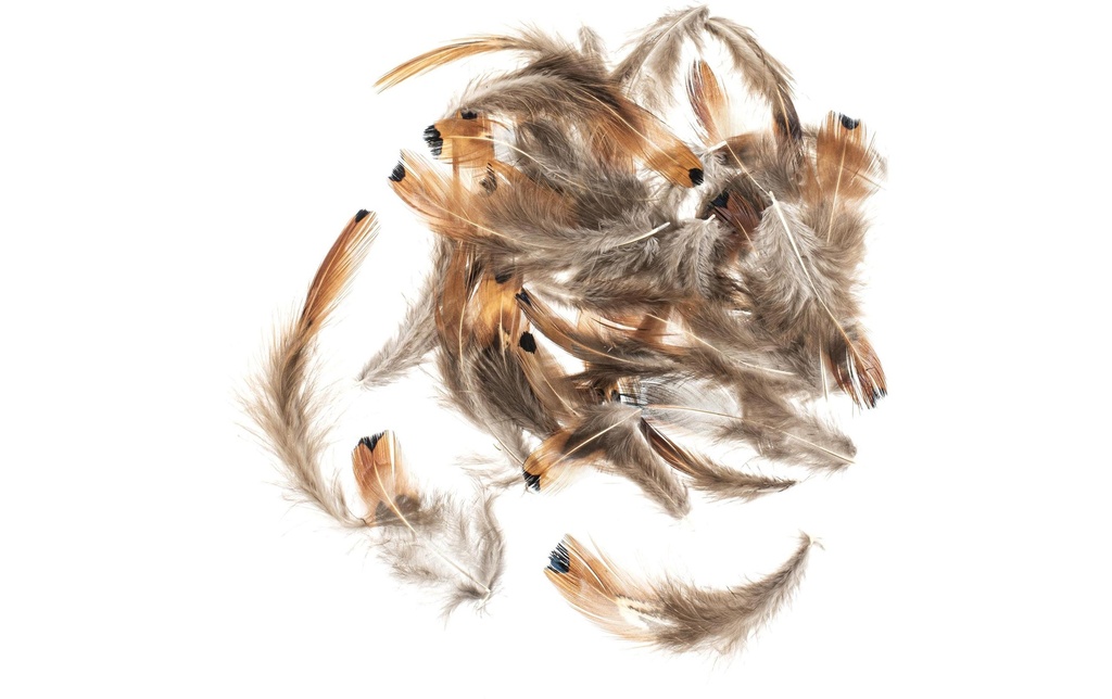 Glorex Plumes Faisan 5-12 cm, 10g, brun