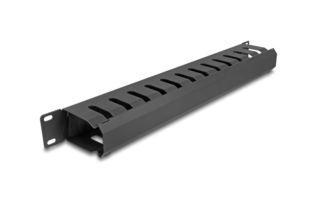 Delock Panneau de câblage 1U avec 2 ouvertures Rack 19, Noir