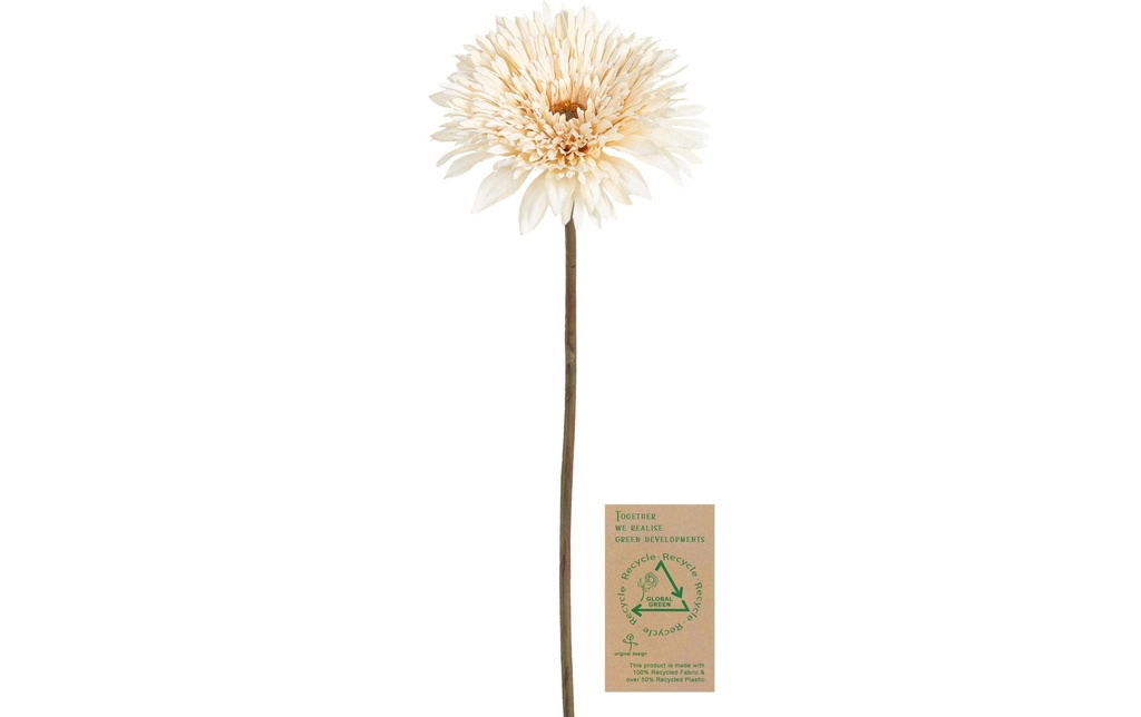 Botanic-Haus Fleur artificielle Gerbera, Ivoire, 63 cm