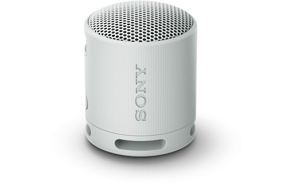 Sony Haut-parleur Bluetooth SRS-XB100 Gris