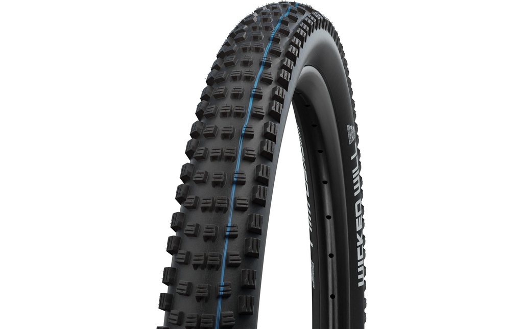Schwalbe Pneu de vélo Wicked Will, Addix SpeedGrip TL-E 29  x 2.4