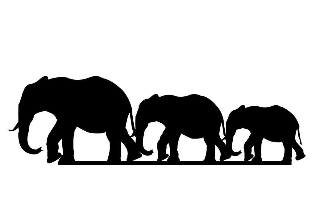 Wallxpert Décoration de mur Famille d'éléphants 15 x 50 cm
