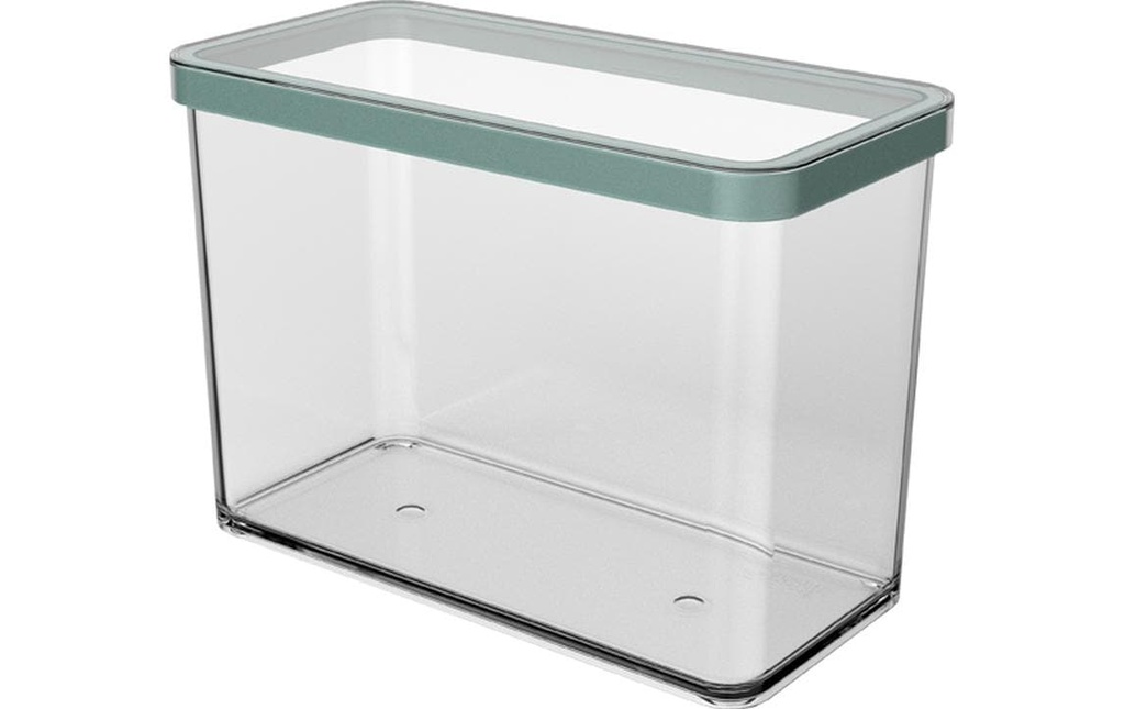 Rotho Récipients à provisions Premium Loft 2.1 l, Transparent/Vert